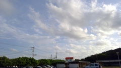 WIN_20260304_08_09_10_Pro WIN_20260304_08_09_10_Pro