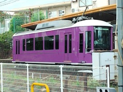 1000036734